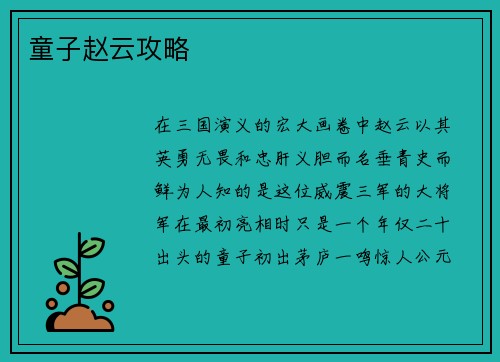 童子赵云攻略